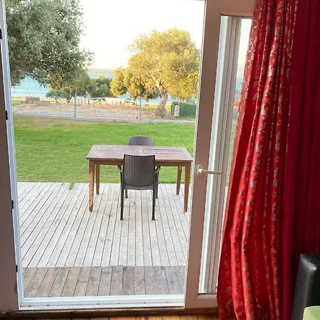 Reds ディディム